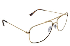 Navigator Rx - Gold Tortoise